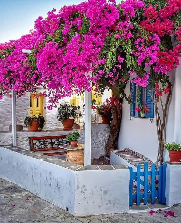 Hotel Taverne Inos لاتزن المظهر الخارجي الصورة